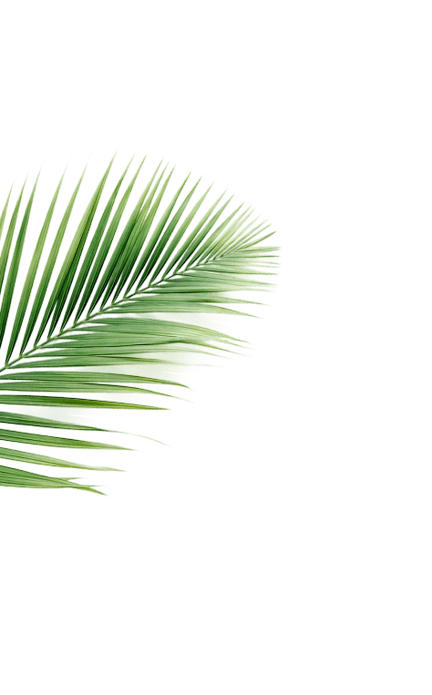 Декоративный элемент